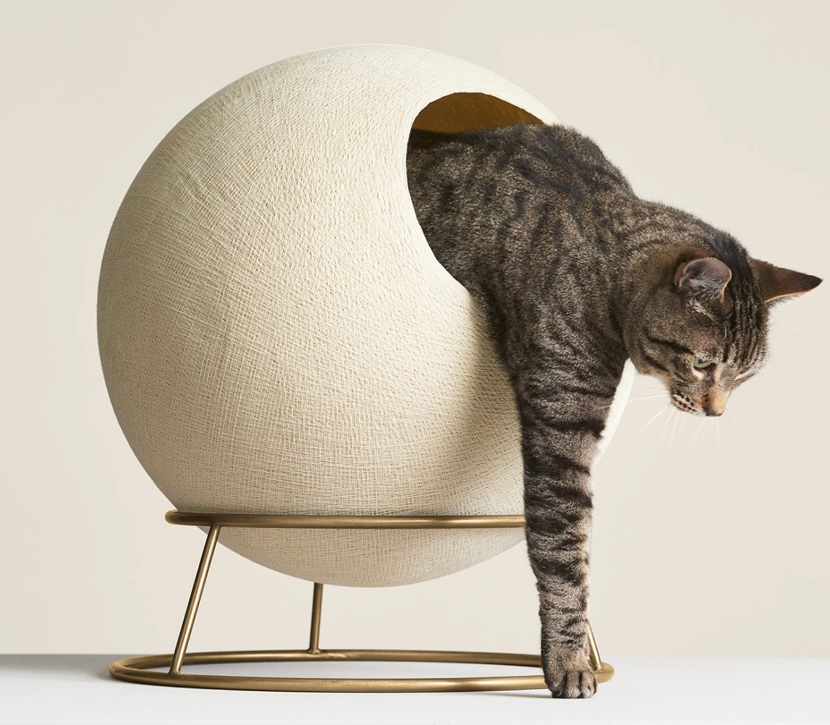 Covered Comfort Cat Hideaway Bed