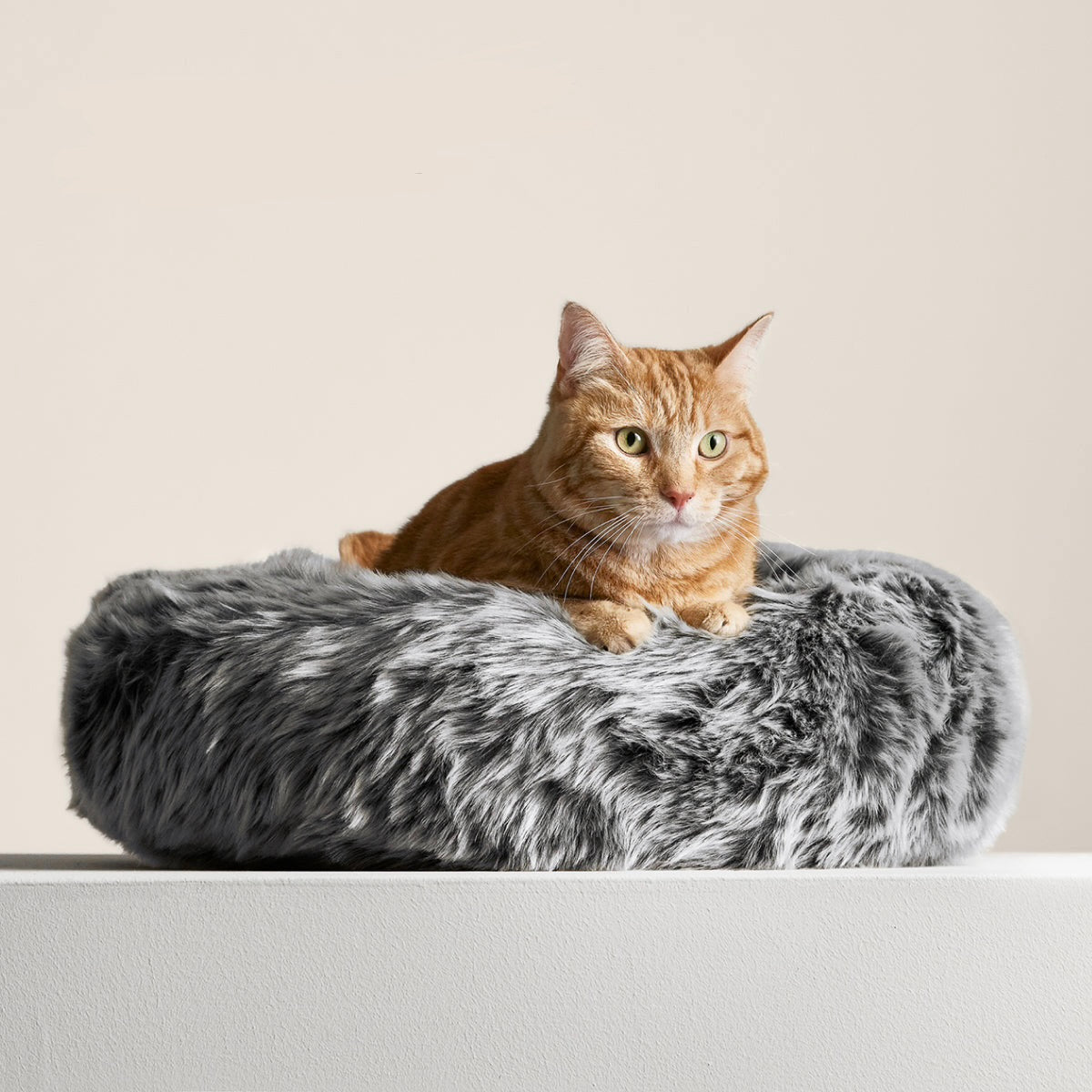 Ultra-Soft Supportive Cat Nest Bed